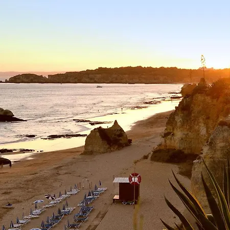 Do Vau By Amcf * 波尔蒂芒